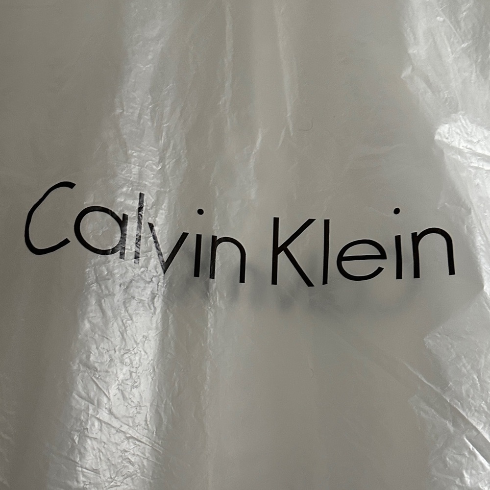 Calvin Klein clear Garment bag